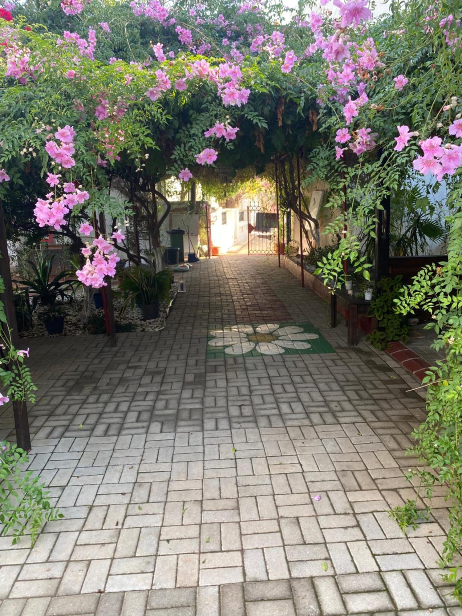 Betul Guest House Famagusta  Exterior foto